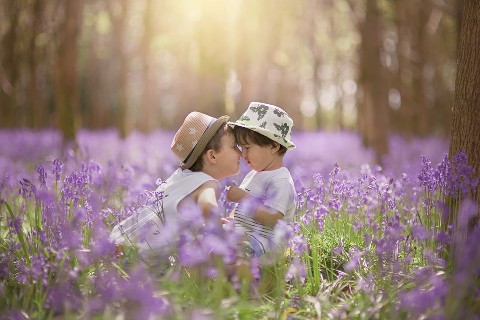 Spring sibling image of brothers sitting in bluebell wood by Moira Lizzie Photography