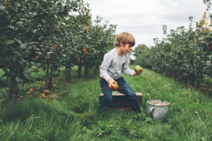 portrait of boy in Hampshire apple orchard by Moira Lizzie Photography