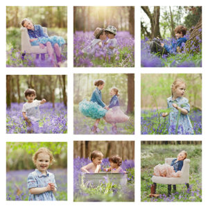 Collage of Bluebell Portrait Photographs