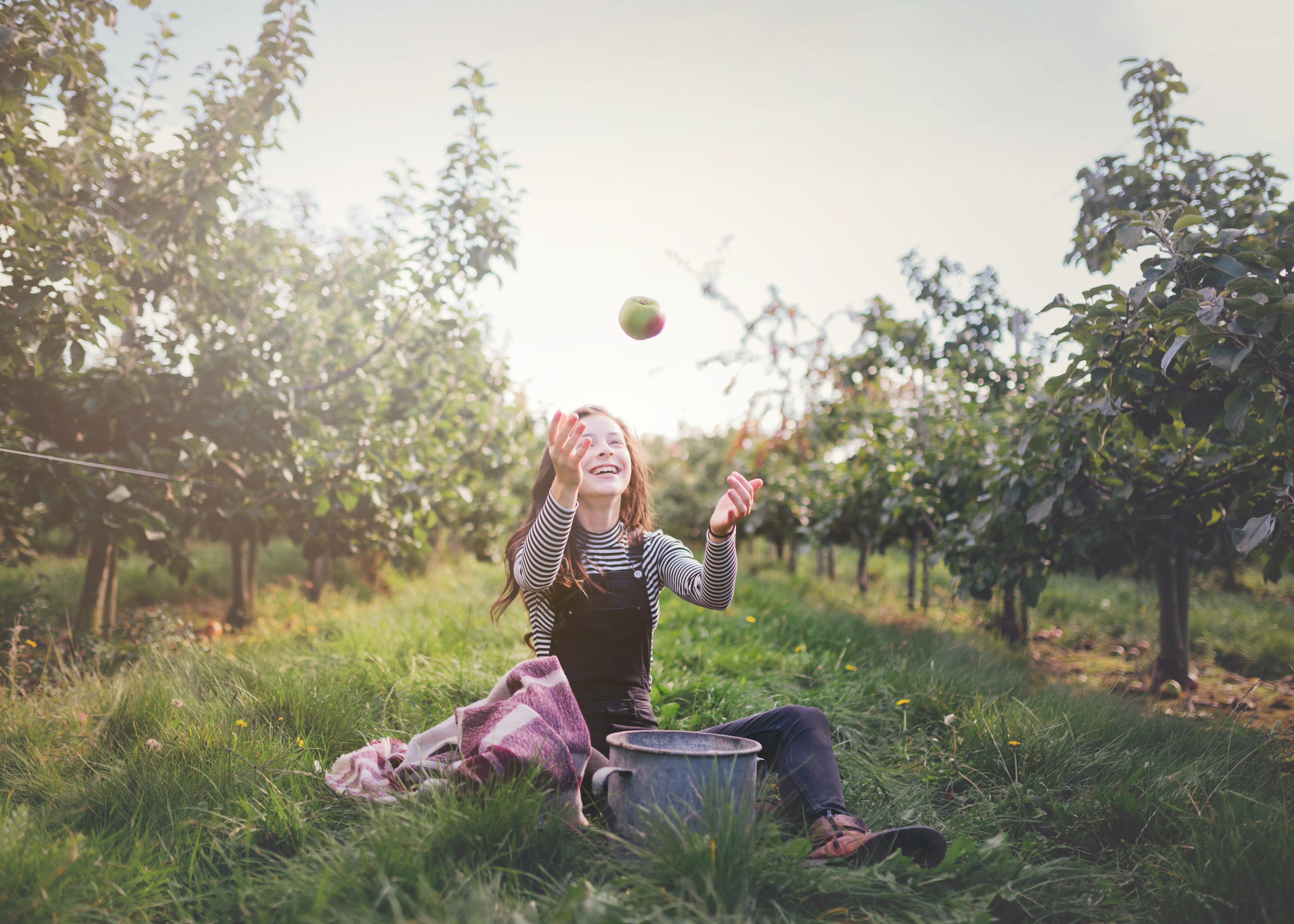 Girl in orchard cathching apple
