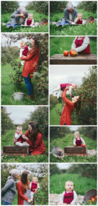 Collage of Autumnal images of four generations of women set in apple orchard