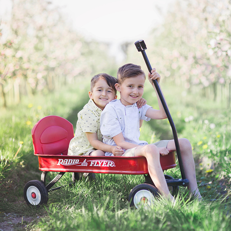 Two young boys in radio flyer cart in orchard during spring