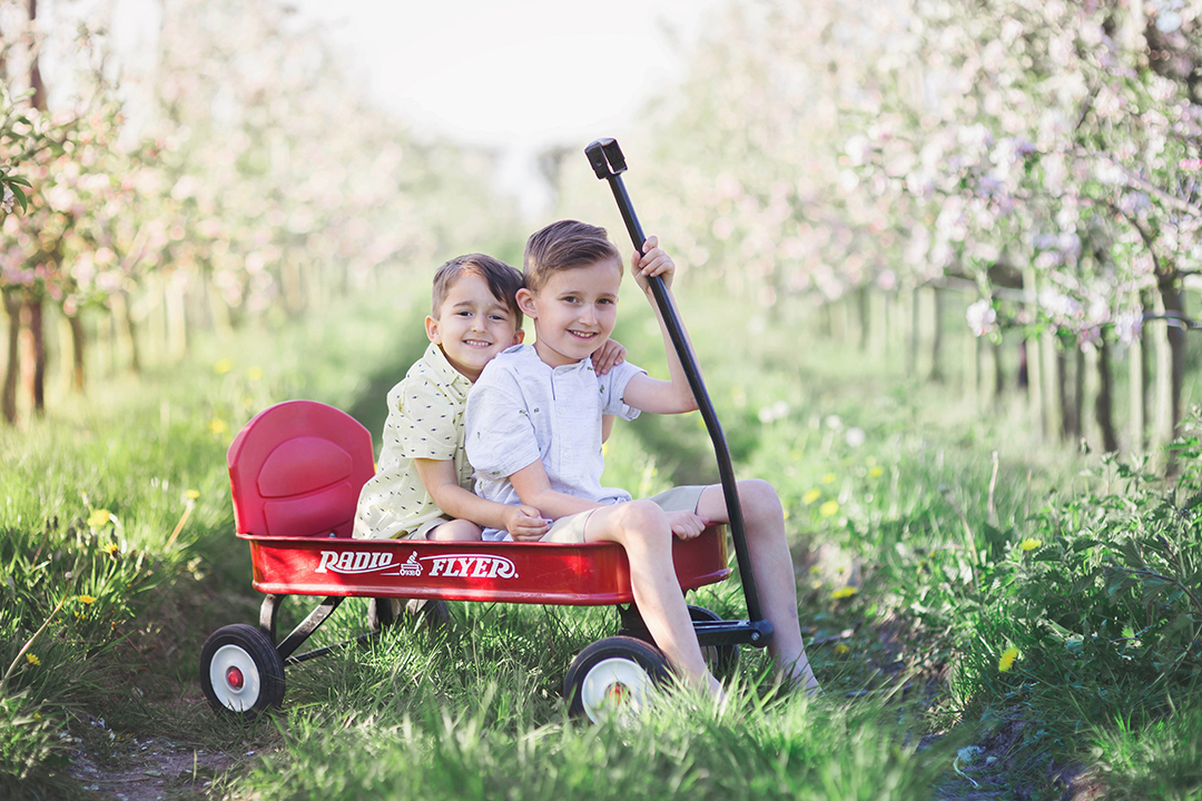 Sibling portrait of brothers sitting in radio flyer cart in orchard blossom by Moira Lizzie Photography
