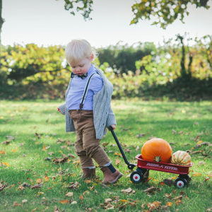 Image of toddler with pumpkins in cart