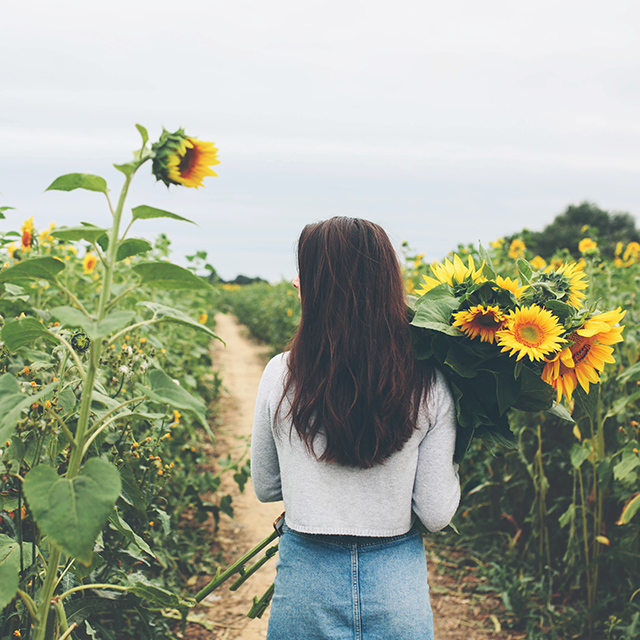 Teenage girl walking through Sunflower field at Sunflower Mini Photography Sessions by Moira Lizzie Photography