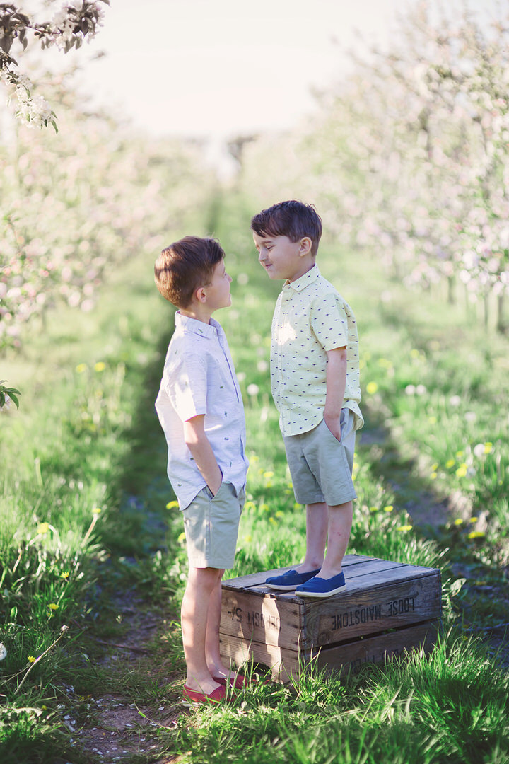 Spring mini session image of young brothers standing in apple blossom